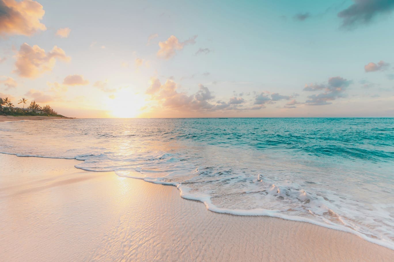 the big question of does a travel agent charge fees