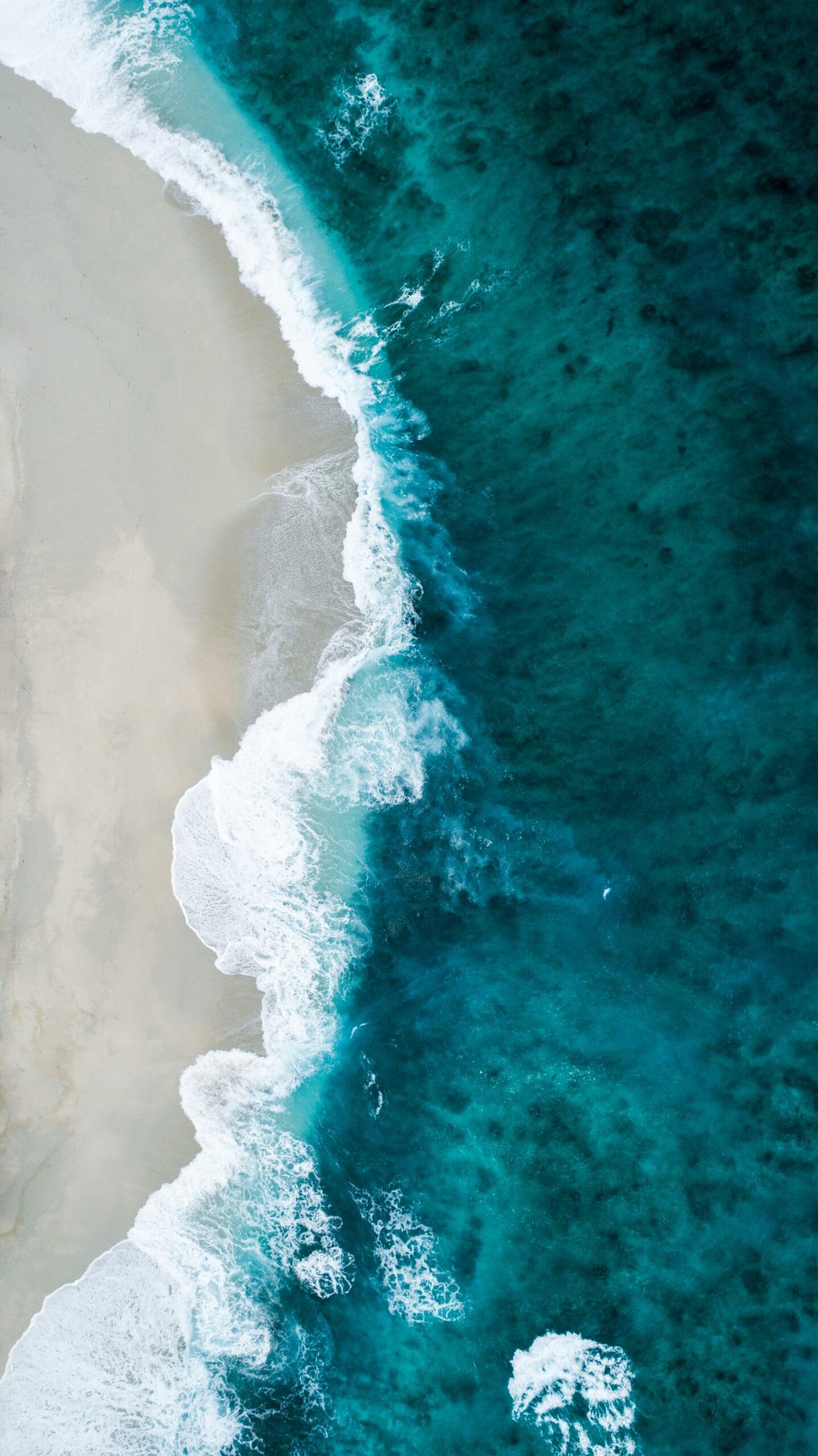 travel agent service fees